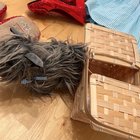 Dorothy from The Wizard of Oz - Full Costume Set - Toto and Ruby Slippers - Picture 9 of 14